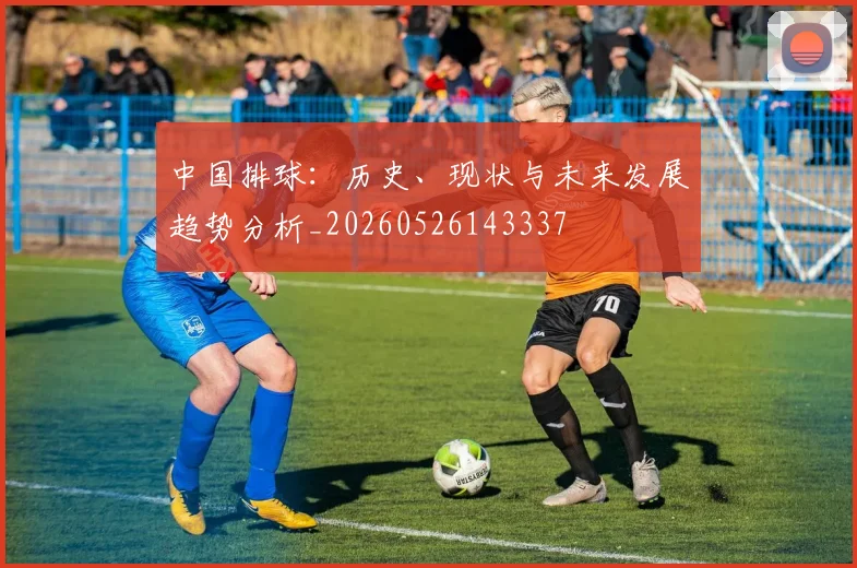 中国排球：历史、现状与未来发展趋势分析_20260526143337