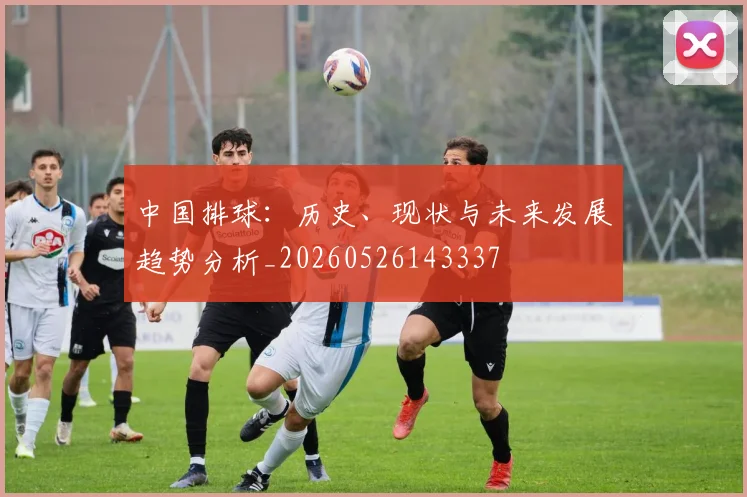 中国排球：历史、现状与未来发展趋势分析_20260526143337